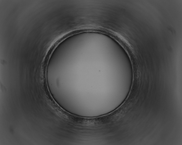 X0000090501364200708031159