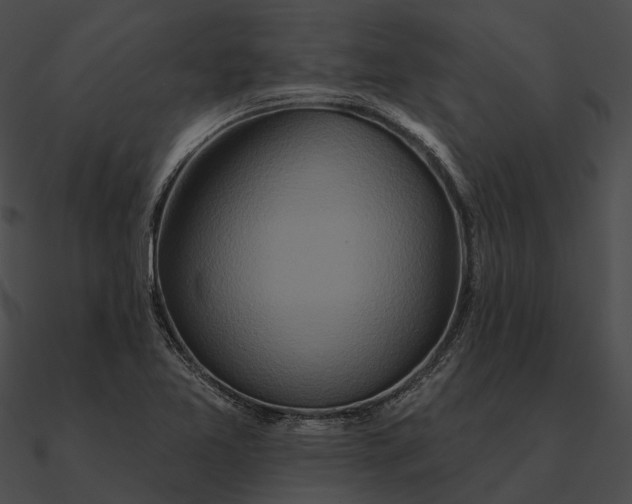 X0000090501365200708031159