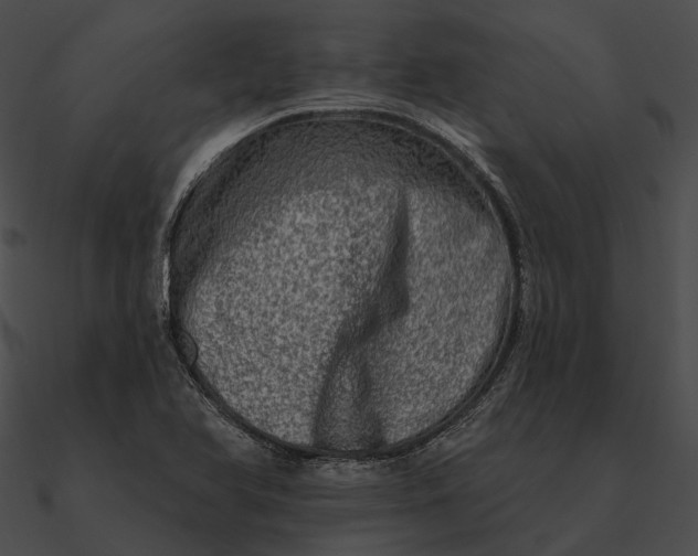 X0000090501366200708031159