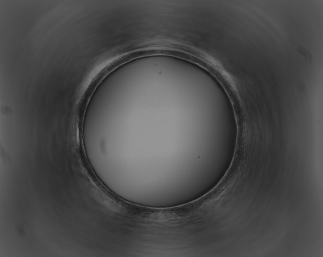 X0000090501368200708031159