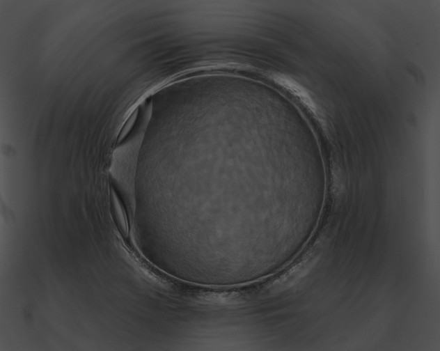 X0000090501369200708031159