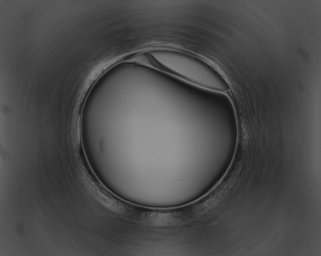 X0000090501371200708031159