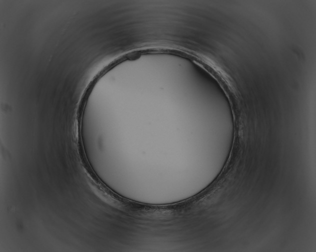 X0000090501372200708031159