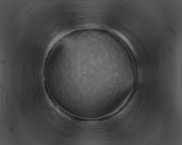 X0000090501373200708031159