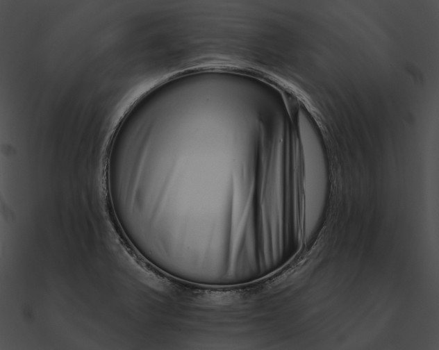 X0000090501375200708031159