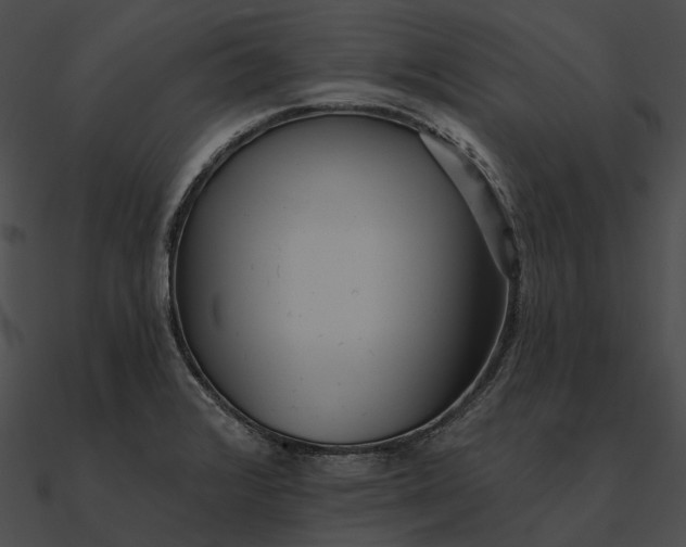 X0000090501376200708031159