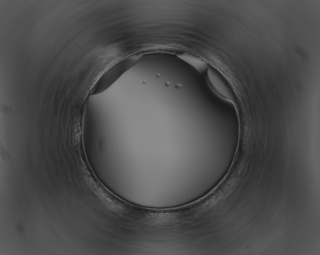 X0000090501377200708031159