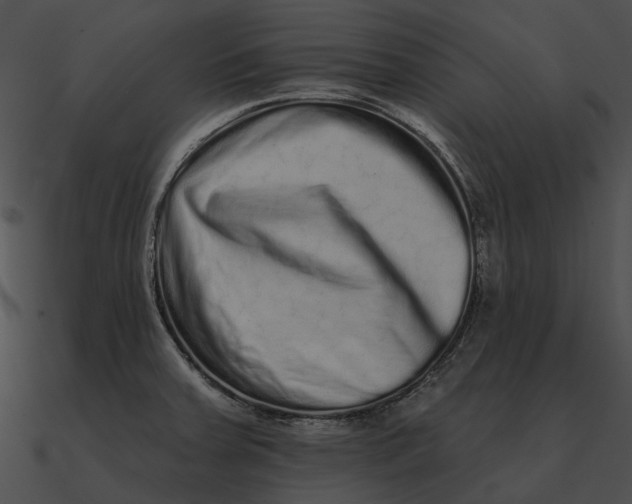 X0000090501379200708031159