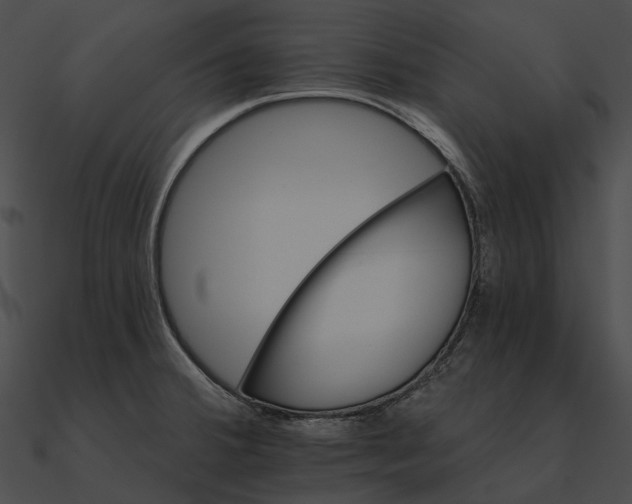 X0000090501380200708031159