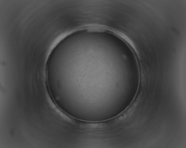 X0000090501381200708031159