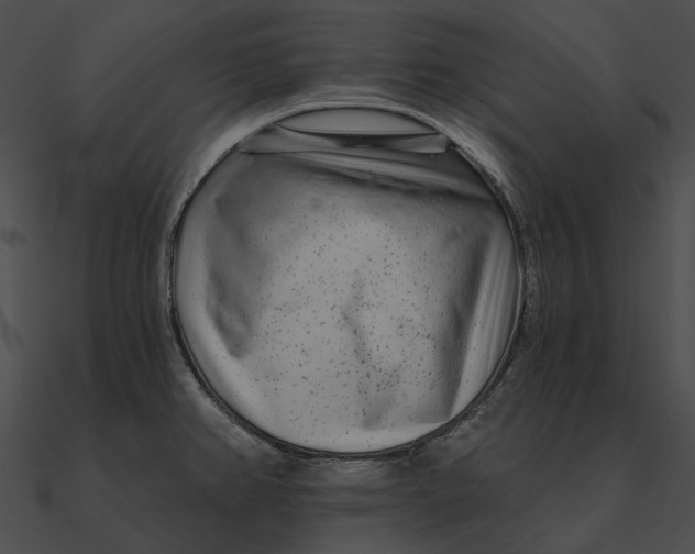 X0000090501382200708031159