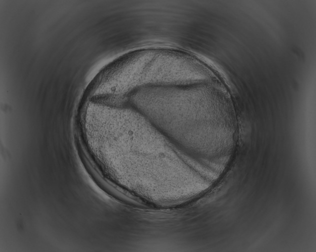 X0000090501383200708031159