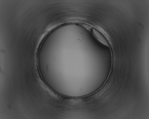 X0000090501384200708031159