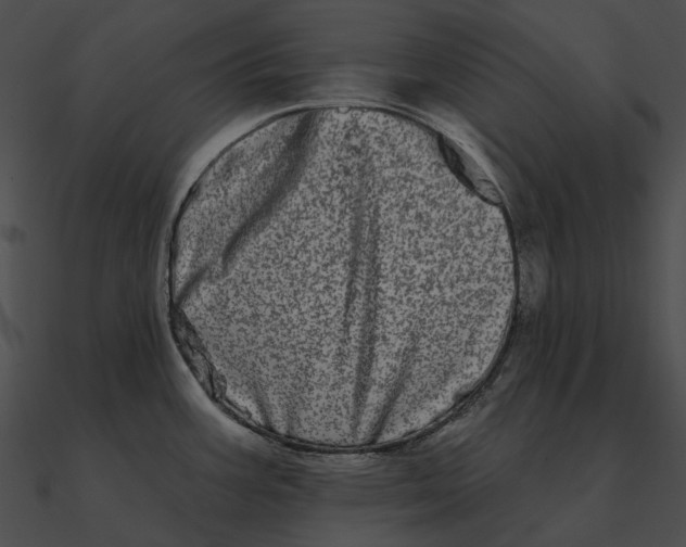 X0000090501387200708031159