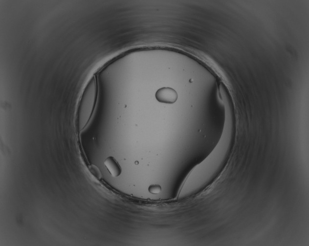 X0000090501388200708031159