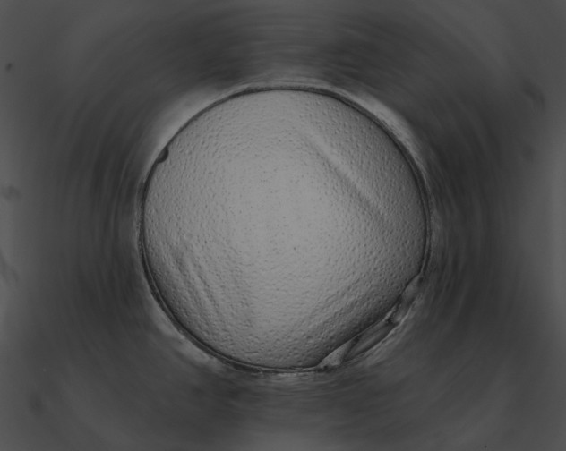 X0000090501390200708031159