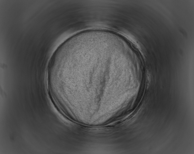 X0000090501391200708031159