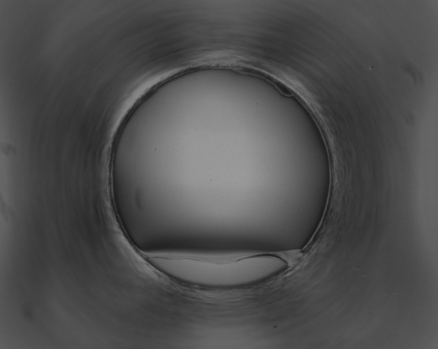 X0000090501392200708031159