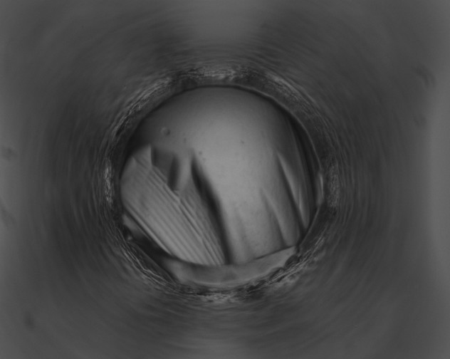 X0000090501394200708031158