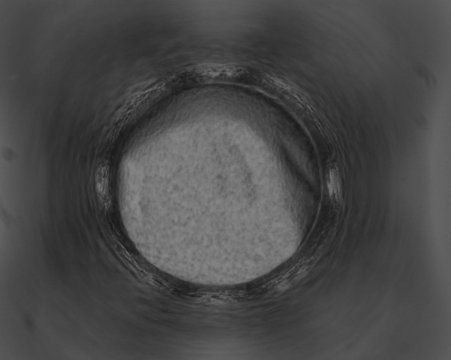 X0000090501396200708031158