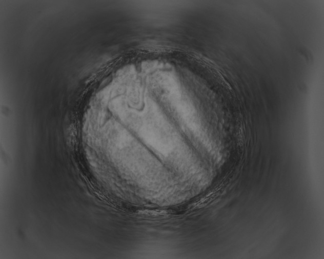 X0000090501397200708031158