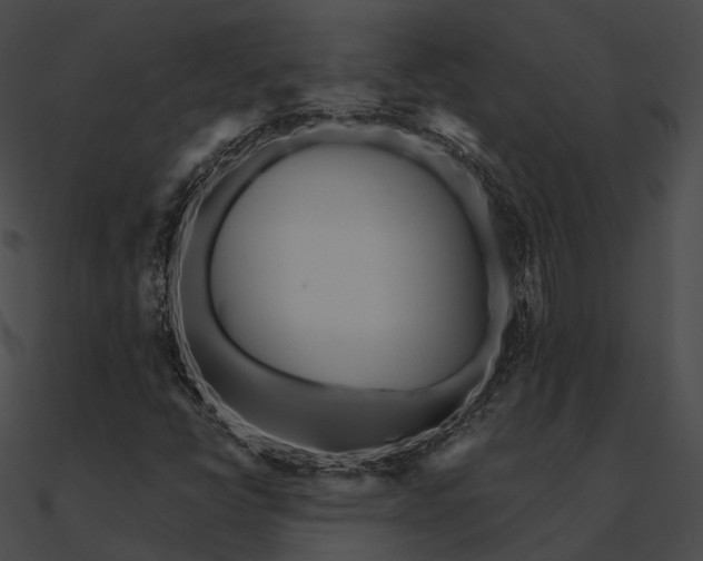 X0000090501398200708031158