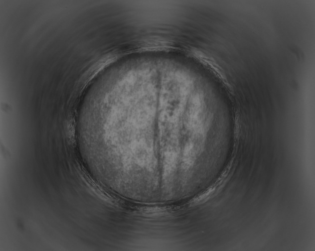 X0000090501401200708031158