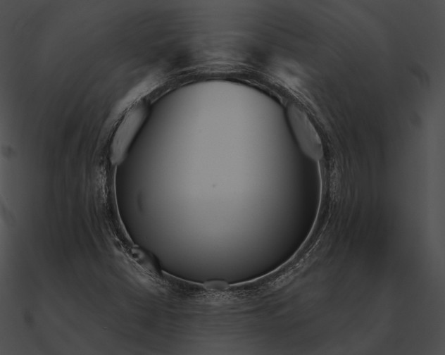 X0000090501402200708031158