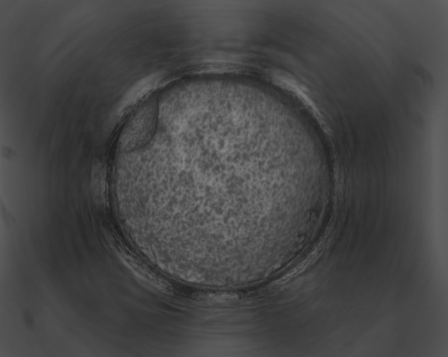 X0000090501403200708031158