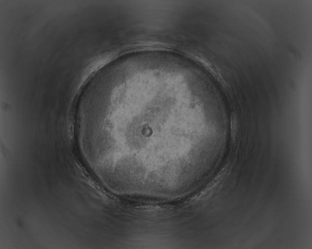 X0000090501405200708031158