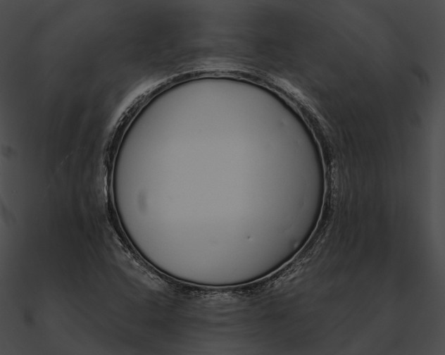 X0000090501408200708031158