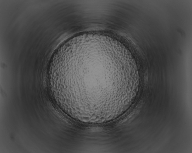 X0000090501409200708031158