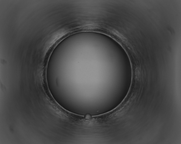 X0000090501410200708031159