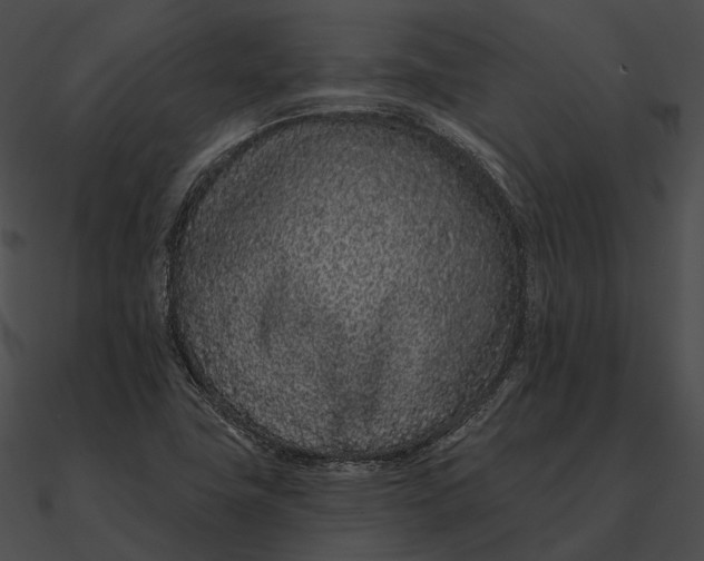 X0000090501411200708031159