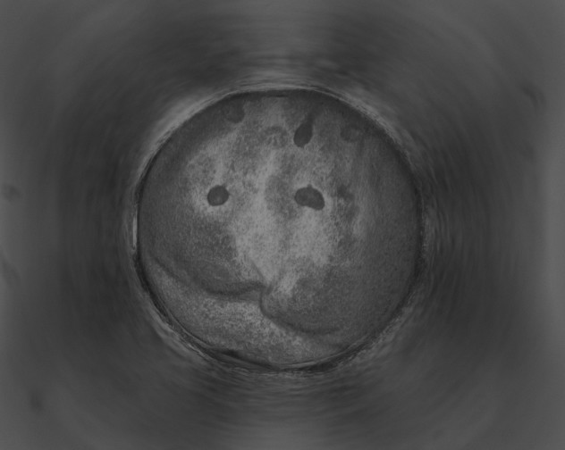 X0000090501413200708031159