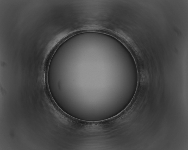 X0000090501414200708031159