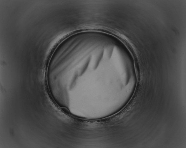 X0000090501416200708031159