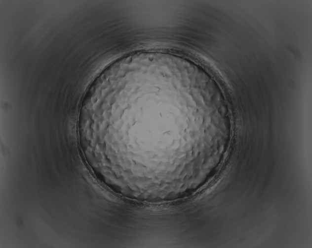 X0000090501417200708031159