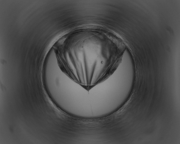 X0000090501418200708031159