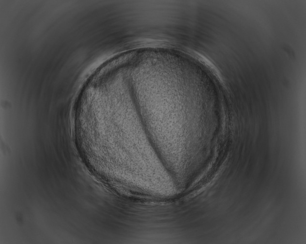 X0000090501419200708031159