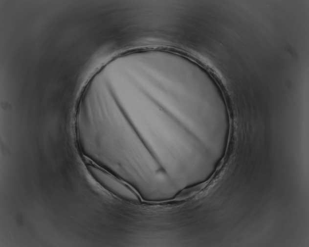 X0000090501421200708031159