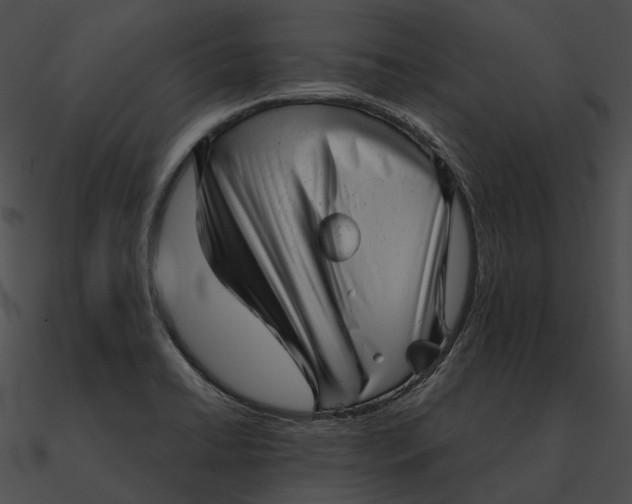 X0000090501422200708031159