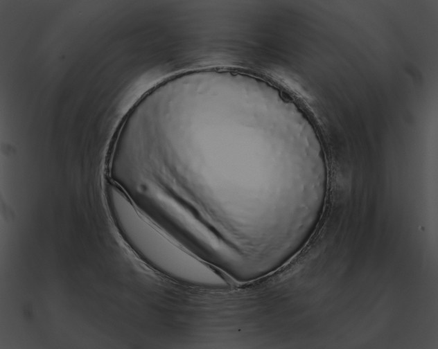 X0000090501423200708031159