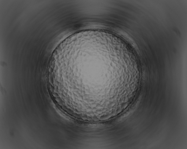 X0000090501425200708031159