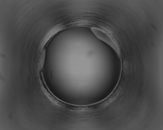 X0000090501426200708031159