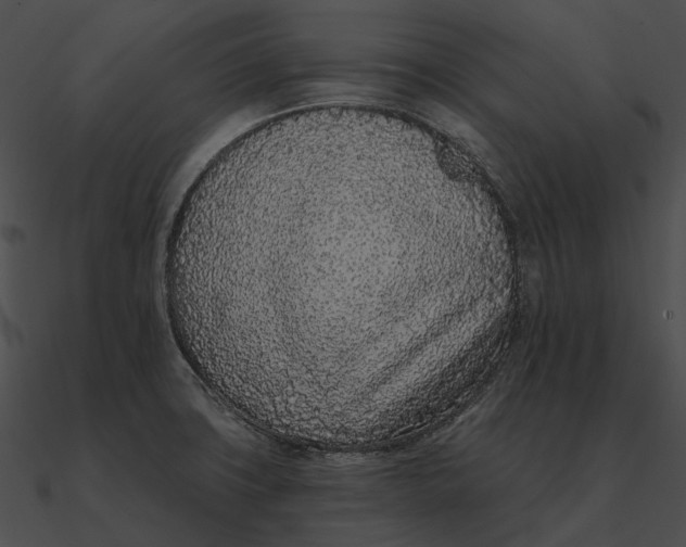 X0000090501427200708031159