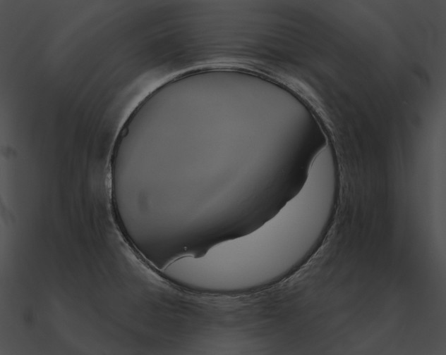 X0000090501428200708031159