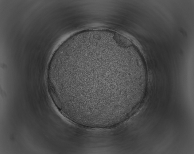 X0000090501429200708031159