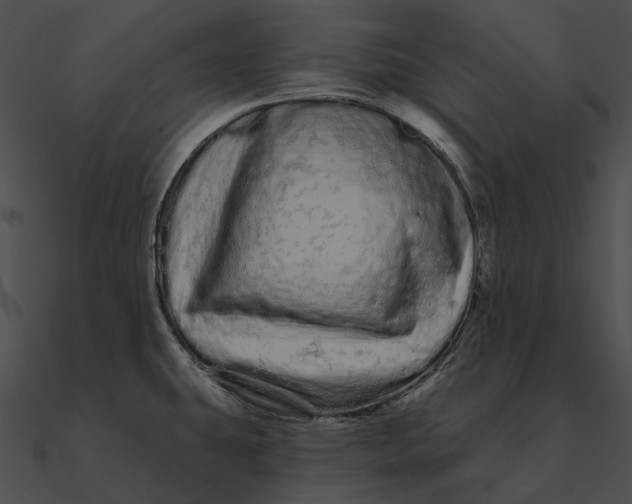 X0000090501431200708031159