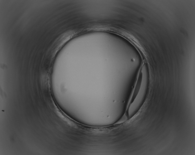 X0000090501433200708031159